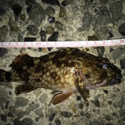 仲間とメバリング