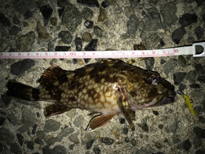 仲間とメバリング