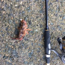 おじさんとガシリング