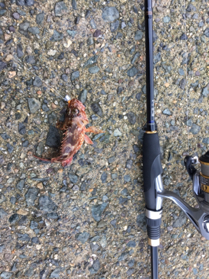 おじさんとガシリング