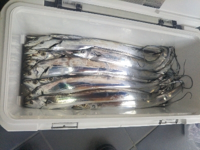 出血大サービス!