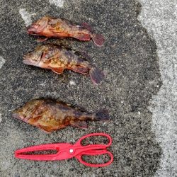 串間東漁港（大納港）