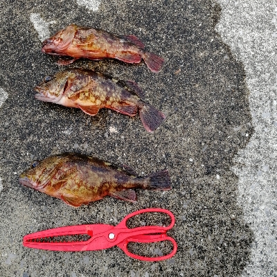 串間東漁港（大納港）