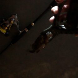 ナイトガシリング