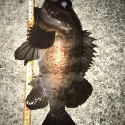 天気予報に騙されましたが記録更新！