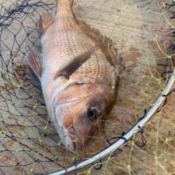 釣堀紀州さんにて