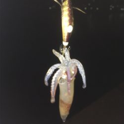 釣れてくれてありがとう