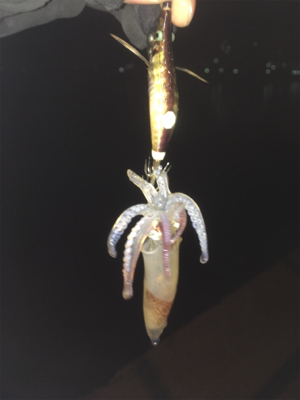 釣れてくれてありがとう