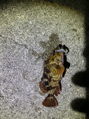 初めての場所で