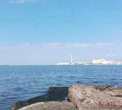 大和川河口でカニ餌でチヌを狙うも…