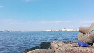 大和川河口でカニ餌でチヌを狙うも…
