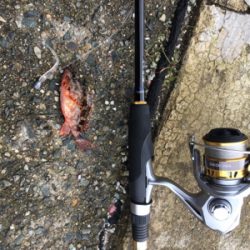 久美浜ガシリング