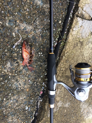 久美浜ガシリング