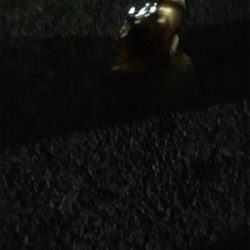 指をくわえてライトゲーム