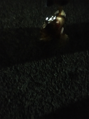 指をくわえてライトゲーム