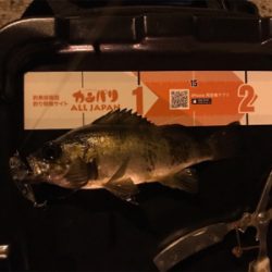 アジを求めて御所浦釣行②