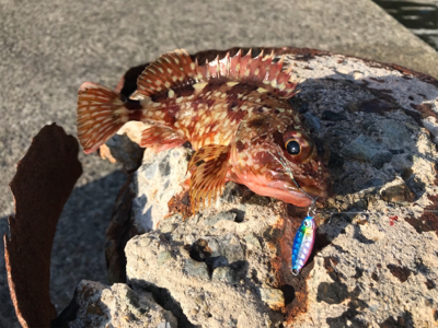 ライトに遊ぶ。