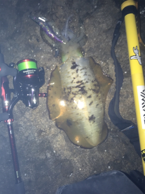 いい釣行になりました！