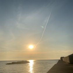 エステルライン