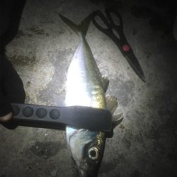 自己ベスト更新