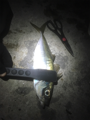 自己ベスト更新