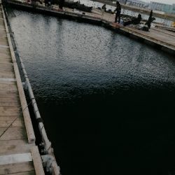 サンクスコース