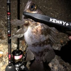 今夜はワームの日?