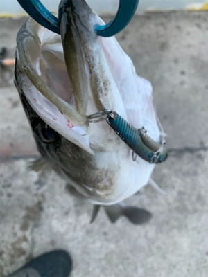 60アップ久しぶりだ━(ﾟ∀ﾟ)━!!