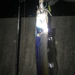 安定のタッチポン 陸