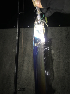 安定のタッチポン 陸