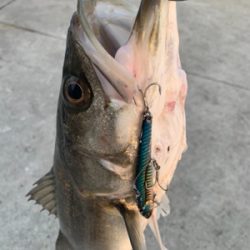 筋肉モリモリ٩( ‘ω’ )و