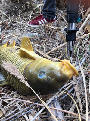 休日の楽しみ方！