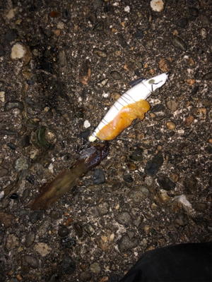 今日は寒かった！