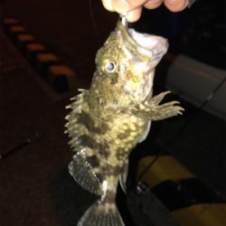 爆風樋島ライトゲーム