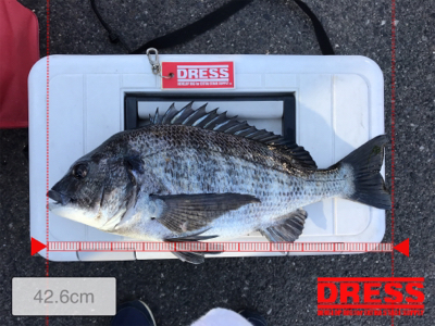 ノッコミチヌ シーズン初戦