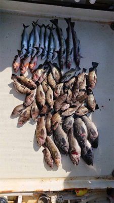 SFC プライベートボートで仙台湾根回り