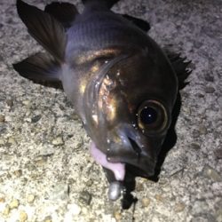 世界一、柔らかいワームで！