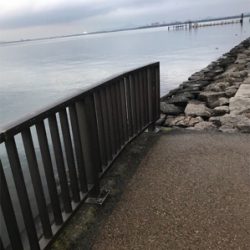 琵琶湖 南湖 陸っぱり