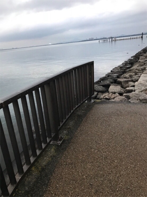 琵琶湖 南湖 陸っぱり