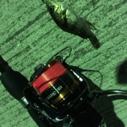 マイクロだらけ