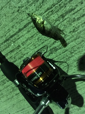 マイクロだらけ