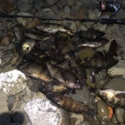 爆風メバリング