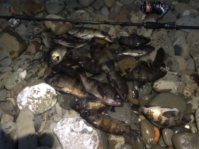 爆風メバリング