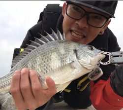 4週連続淀川チニング