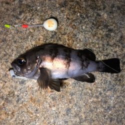 極寒の中 メバリング