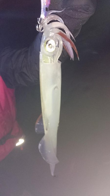 荒波の中エギング