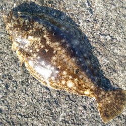 爆風の加太大波止