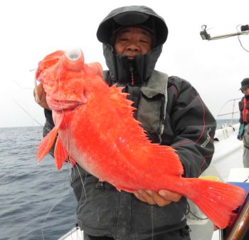 ムツ・アコウ釣り