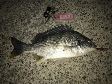 ボトムを丁寧にリフトアンドフォール