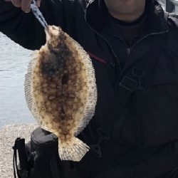 串間東港(都井)